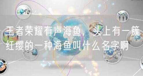 王者荣耀有声海鱼，头上有一簇红缨的一种海鱼叫什么名字啊