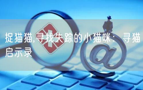 捉猫猫,寻找失踪的小猫咪：寻猫启示录