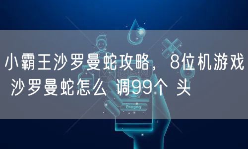 小霸王沙罗曼蛇攻略,8位机游戏 沙罗曼蛇怎么 调99个 头