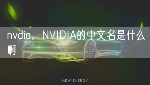 nvdia，NVIDIA的中文名是什么啊