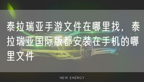 泰拉瑞亚手游文件在哪里找，泰拉瑞亚国际版都安装在手机的哪里文件