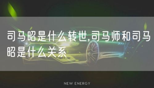 司马昭是什么转世,司马师和司马昭是什么关系