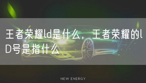 王者荣耀ld是什么,王者荣耀的lD号是指什么