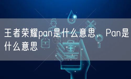 王者荣耀pan是什么意思，Pan是什么意思