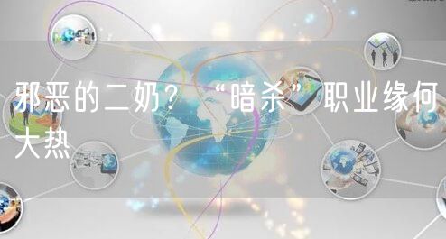 邪恶的二奶?“暗杀”职业缘何大热