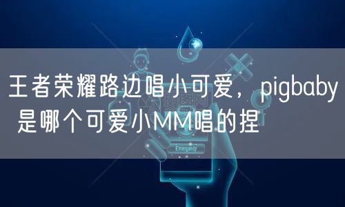 王者荣耀路边唱小可爱，pigbaby 是哪个可爱小MM唱的捏