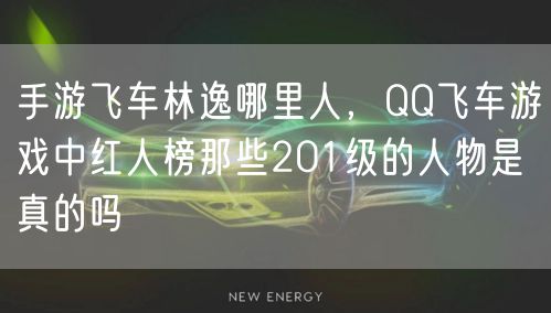 手游飞车林逸哪里人，QQ飞车游戏中红人榜那些201级的人物是真的吗