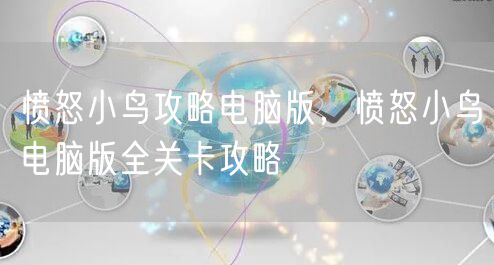 愤怒小鸟攻略电脑版,愤怒小鸟电脑版全关卡攻略