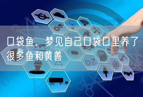 口袋鱼，梦见自己口袋口里养了很多鱼和黄善