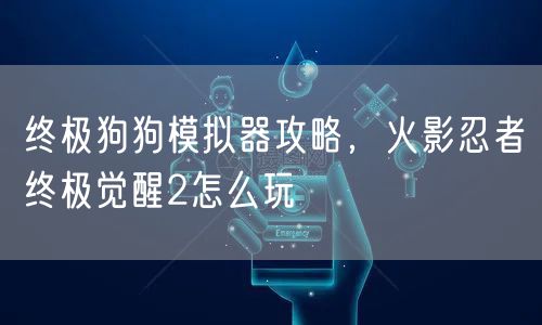 终极狗狗模拟器攻略，火影忍者终极觉醒2怎么玩