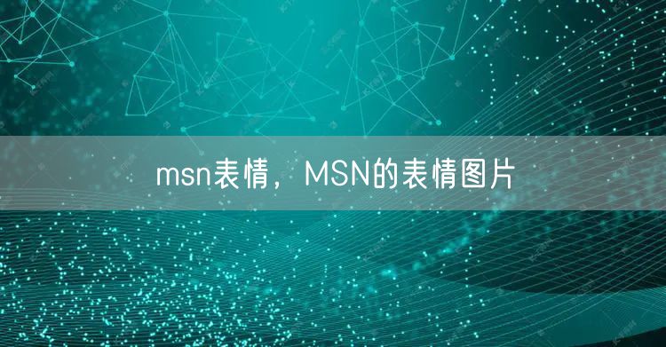 msn表情，MSN的表情图片
