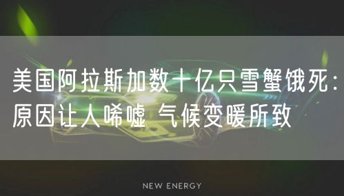 美国阿拉斯加数十亿只雪蟹饿死：原因让人唏嘘 气候变暖所致