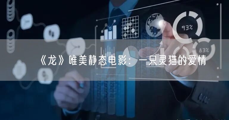 《龙》唯美静态电影:一只灵猫的爱情