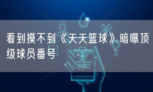 看到摸不到《天天篮球》暗曝顶级球员番号