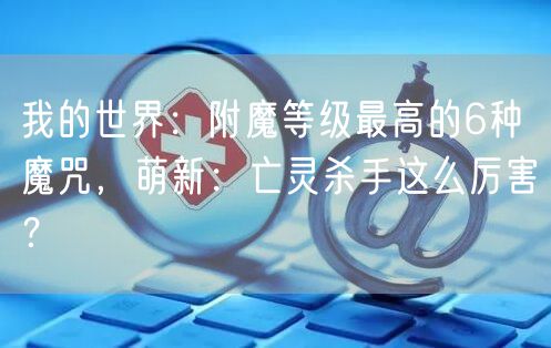 我的世界：附魔等级最高的6种魔咒，萌新：亡灵杀手这么厉害？