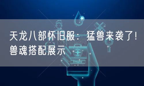 天龙八部怀旧服：猛兽来袭了！兽魂搭配展示