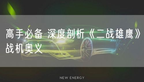 高手必备 深度剖析《二战雄鹰》战机奥义