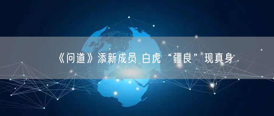 《问道》添新成员 白虎“疆良”现真身