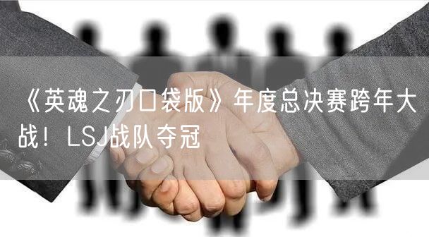 《英魂之刃口袋版》年度总决赛跨年大战！LSJ战队夺冠