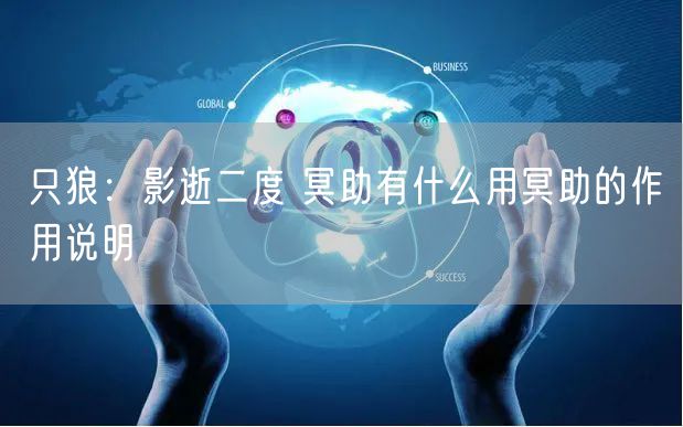 只狼：影逝二度 冥助有什么用冥助的作用说明