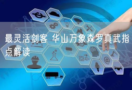 最灵活剑客 华山万象森罗真武指点解读