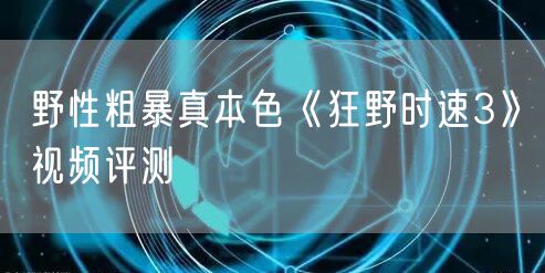 野性粗暴真本色《狂野时速3》视频评测