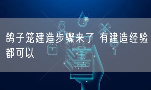 鸽子笼建造步骤来了 有建造经验都可以