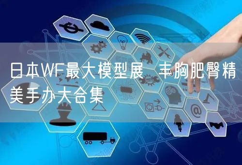 日本WF最大模型展  丰胸肥臀精美手办大合集