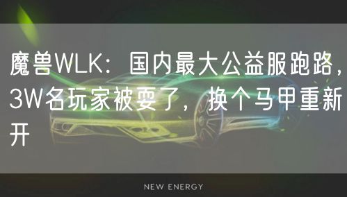 魔兽WLK：国内最大公益服跑路，3W名玩家被耍了，换个马甲重新开