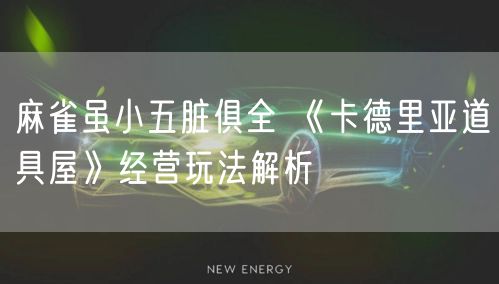 麻雀虽小五脏俱全 《卡德里亚道具屋》经营玩法解析