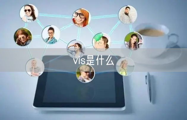 vis是什么