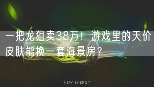 一把龙狙卖38万!游戏里的天价皮肤能换一套海景房?