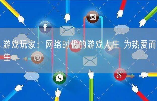 游戏玩家:网络时代的游戏人生 为热爱而生
