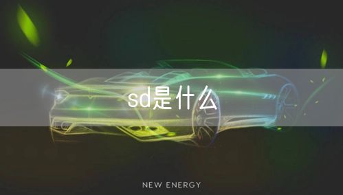 sd是什么