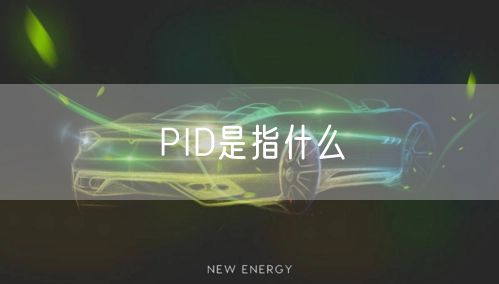 PID是指什么