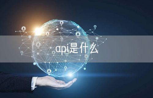api是什么