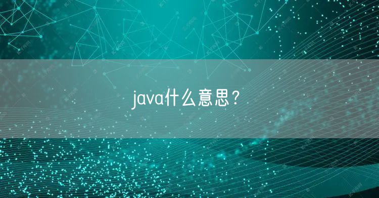 java什么意思?
