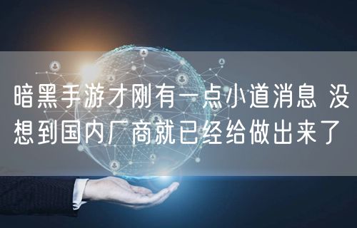 暗黑手游才刚有一点小道消息 没想到国内厂商就已经给做出来了