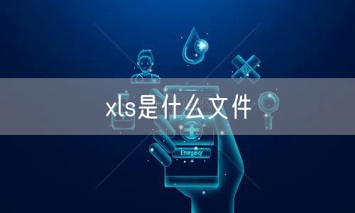 xls是什么文件