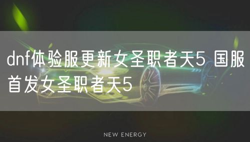 dnf体验服更新女圣职者天5 国服首发女圣职者天5