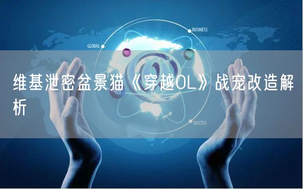 维基泄密盆景猫《穿越OL》战宠改造解析