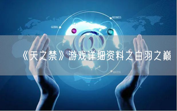 《天之禁》游戏详细资料之白羽之巅