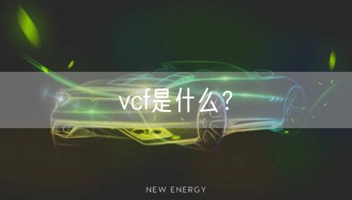 vcf是什么？