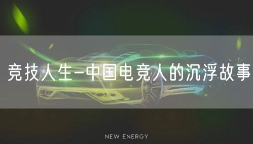 竞技人生-中国电竞人的沉浮故事