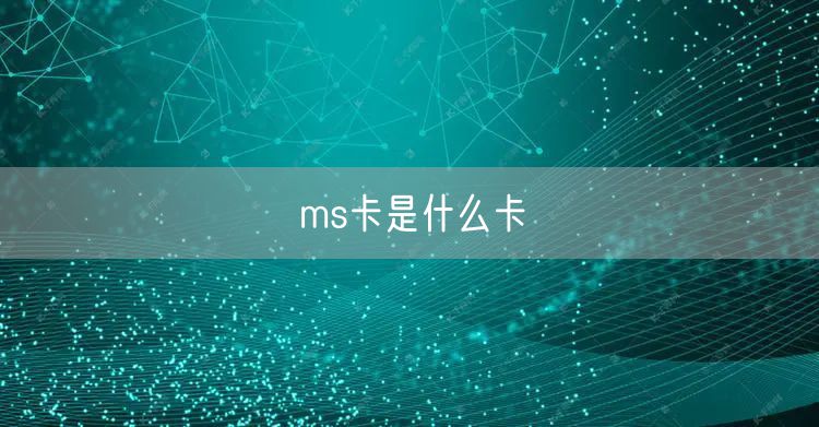ms卡是什么卡