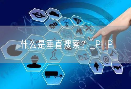 什么是垂直搜索?_PHP