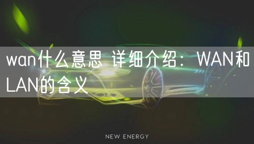 wan什么意思 详细介绍：WAN和LAN的含义