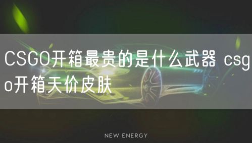 CSGO开箱最贵的是什么武器 csgo开箱天价皮肤