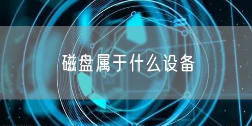 磁盘属于什么设备