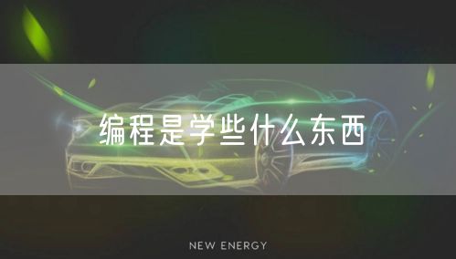 编程是学些什么东西